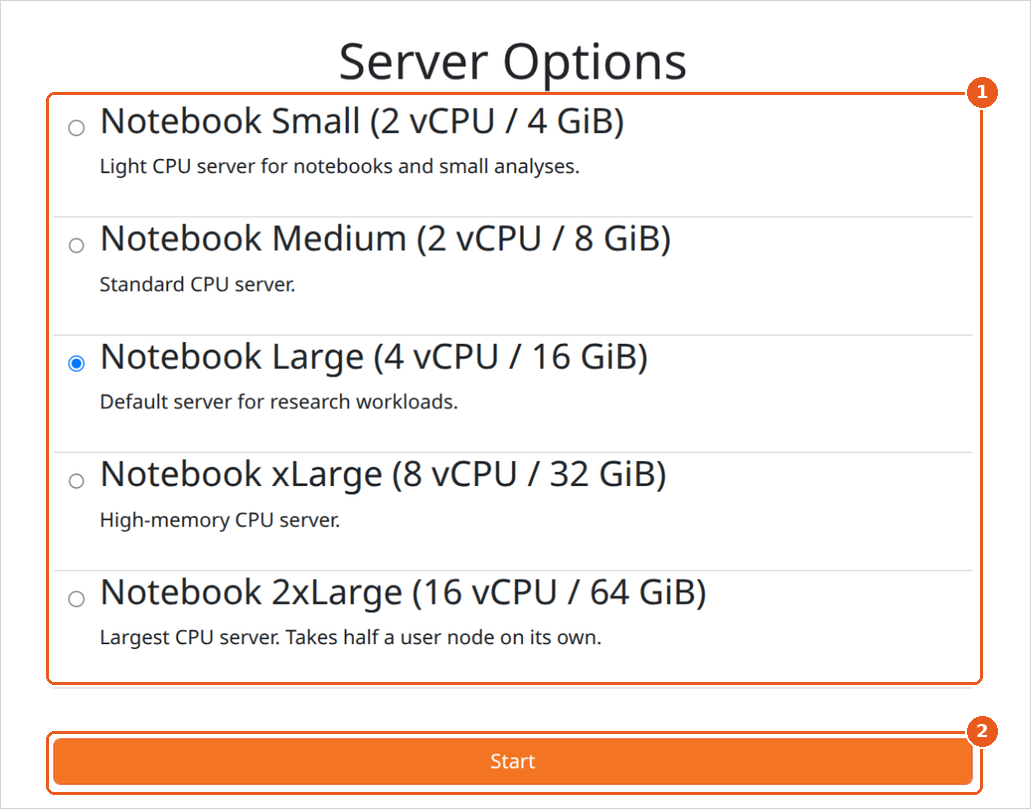 ../../_images/05-server-options.png