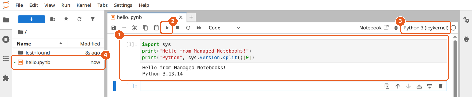 ../../_images/08-notebook-first-cell.png