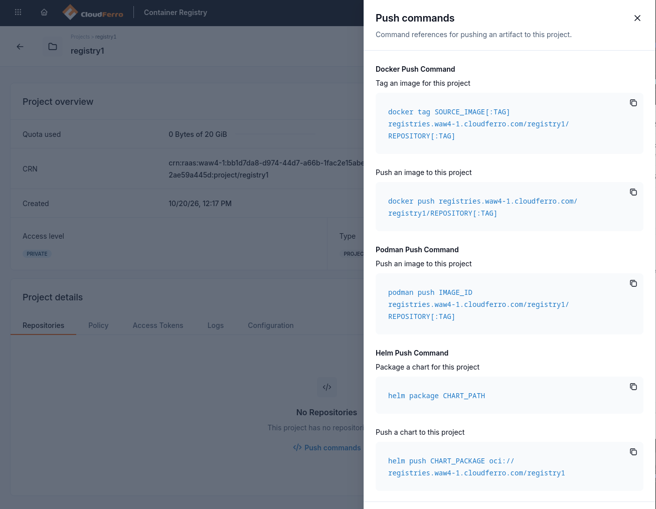 Push commands panel with Docker, Podman, and Helm examples