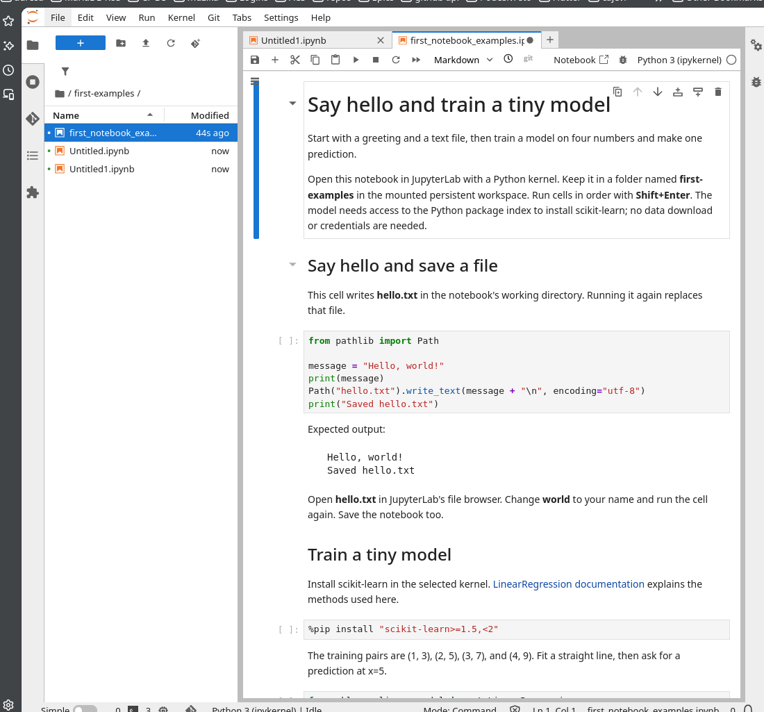 Downloaded first_notebook_examples.ipynb open in JupyterLab with the Python 3 kernel and unexecuted code cells