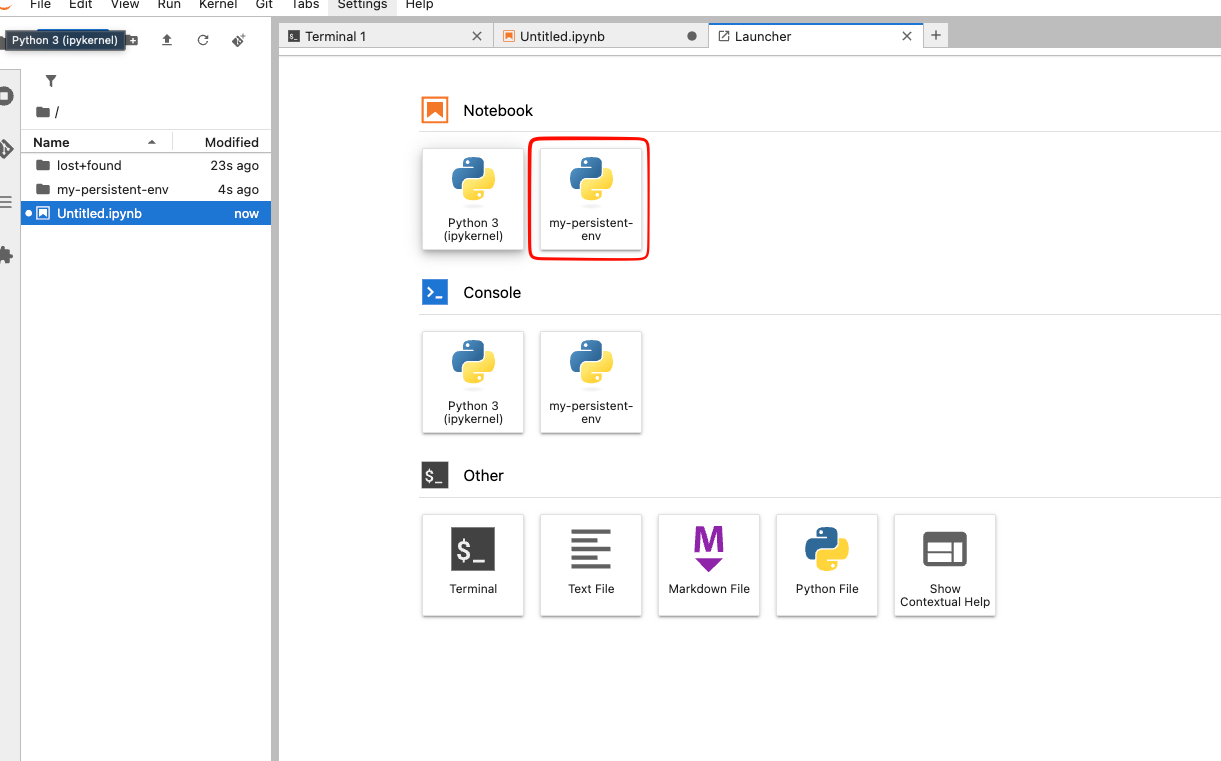 JupyterLab launcher with Python 3 and a custom persistent Python kernel