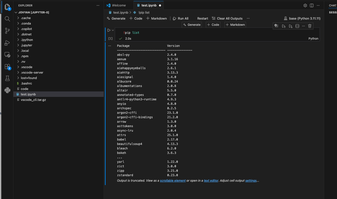 Python notebook output in Visual Studio Code