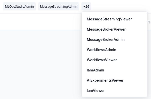 Expanded additional-role label showing more product and IAM roles for a user.