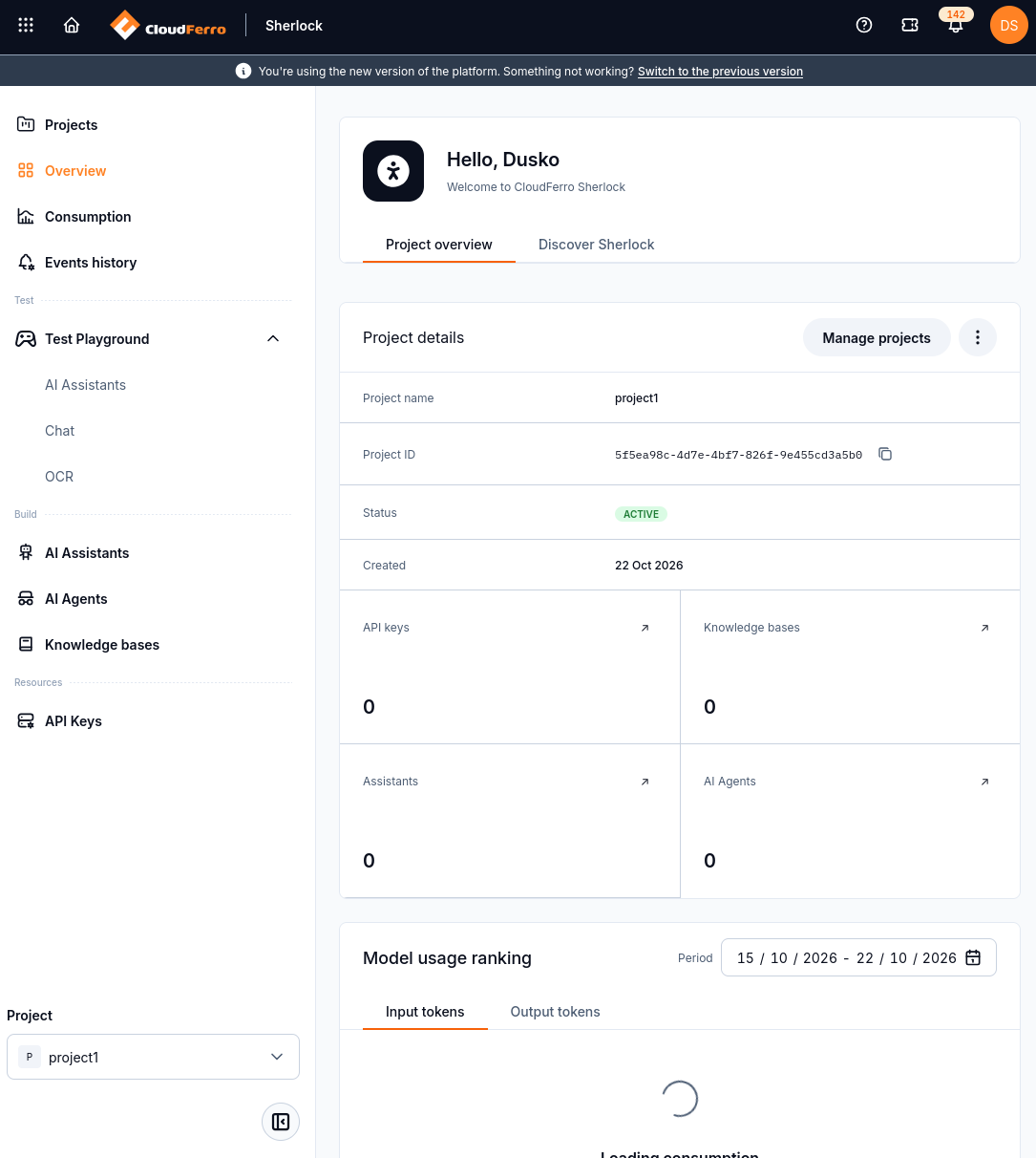Project overview for project1 with resource counts