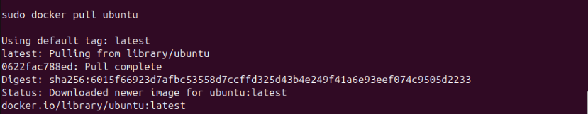 ../_images/use-docker-5.png