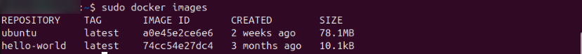 ../_images/use-docker-6.png